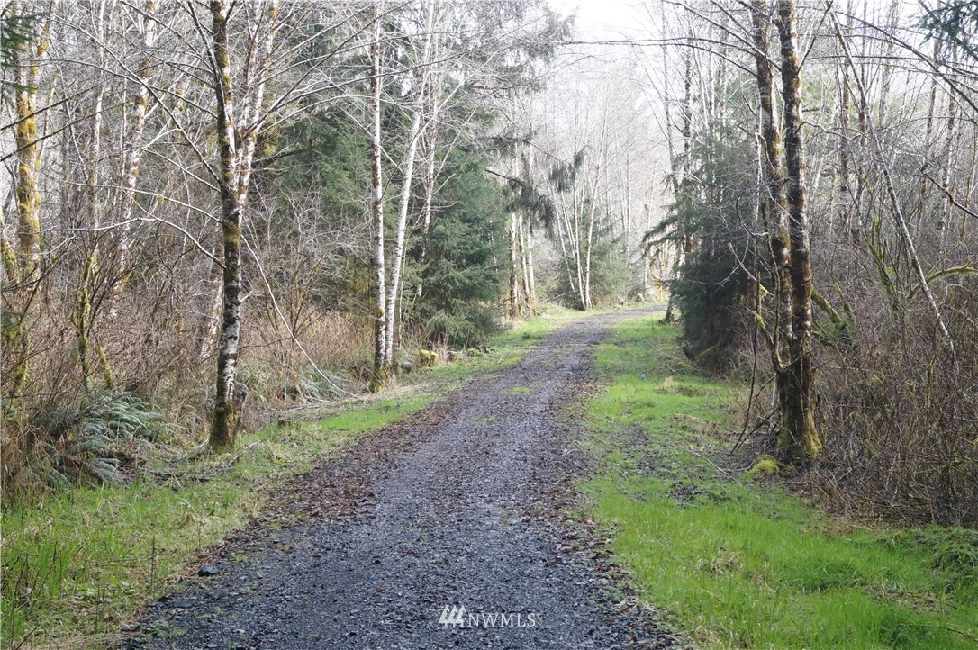0 State Route 101 Raymond, WA 98577 - Photo 6 of 9 Gallery Image 6
