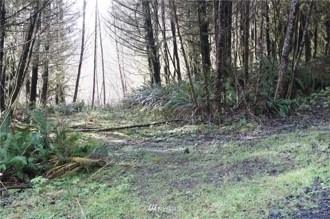0 State Route 101 Raymond, WA 98577 - Photo 7 of 9 Gallery Image 7
