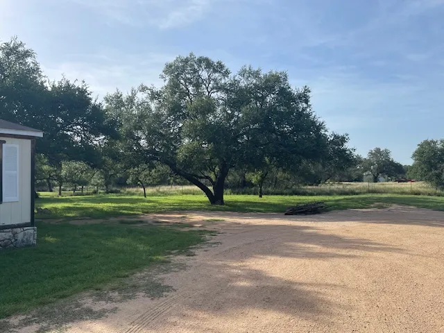 a view of a park with large trees