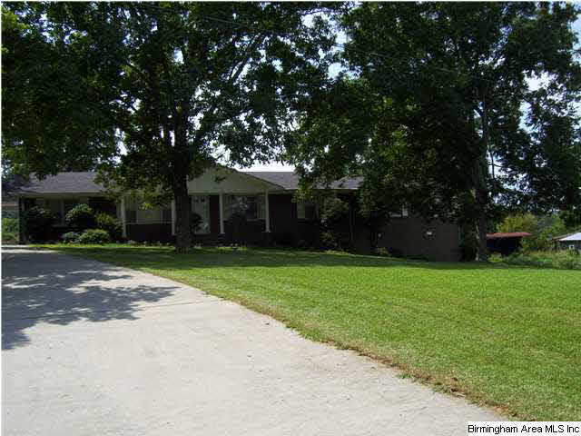374 Cliff Springs Road Oneonta, AL 35121 - Photo 2 of 13