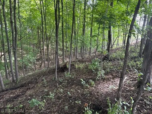 $225,000 | 10492 Kalland Lane Northeast, Hanover, MN 55341