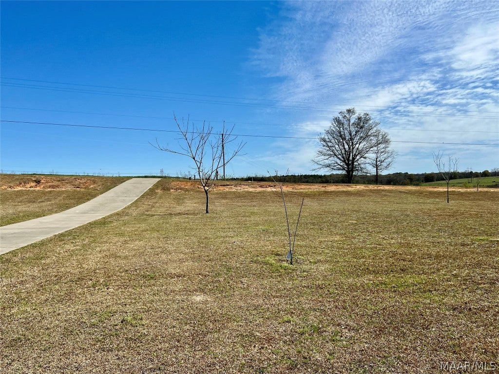 1425 Traveler's Rest Road Samson, AL 36477 - Photo 41 of 44 Gallery Image 41