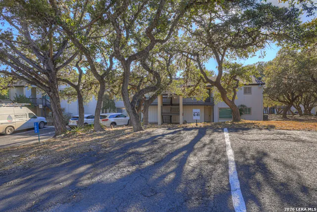 a tree in the middle of a yard