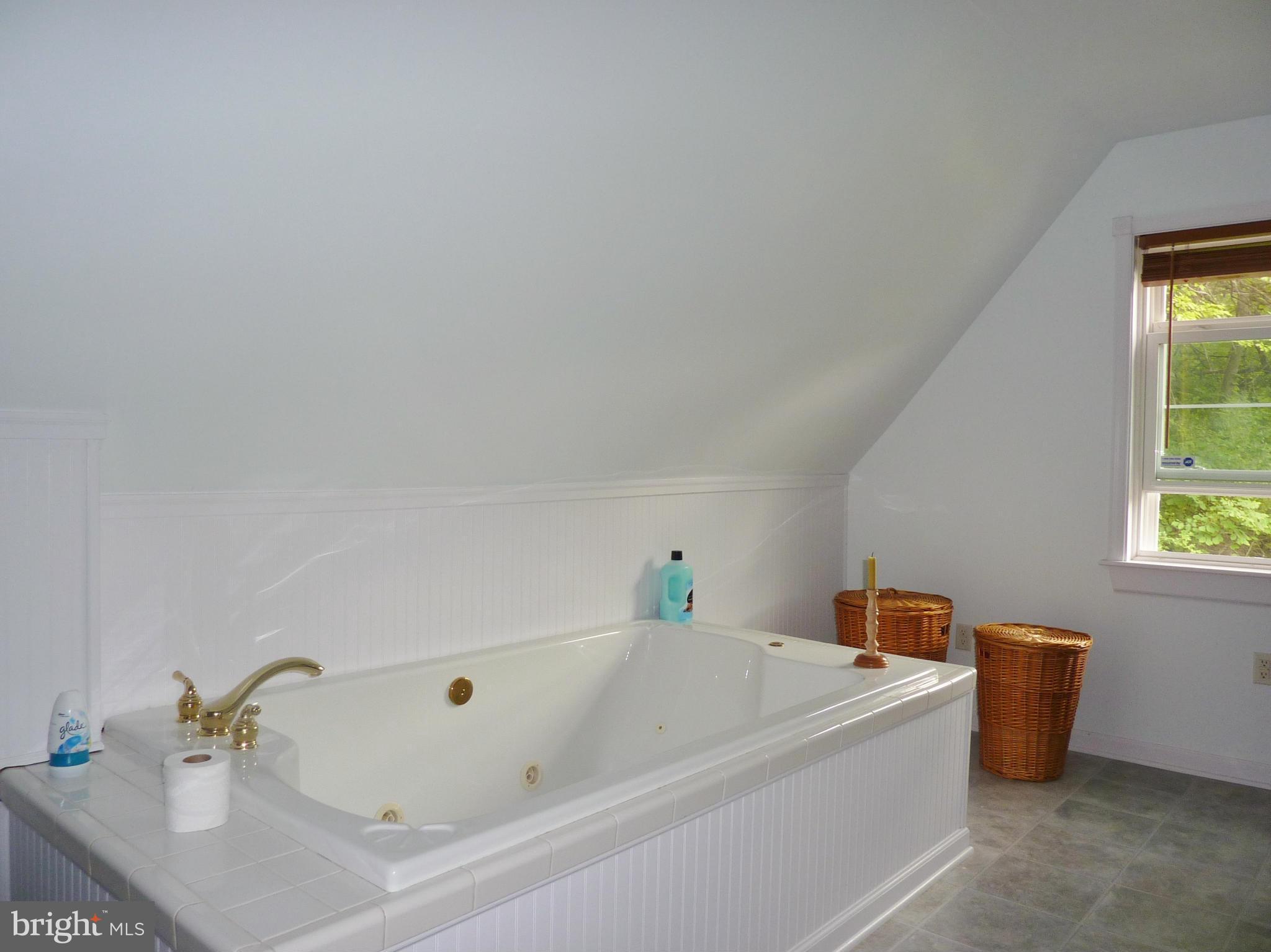 265 Apple Jack Road Linden, VA 22642 - Photo 15 of 30 Bath with 2-person jacuzzi