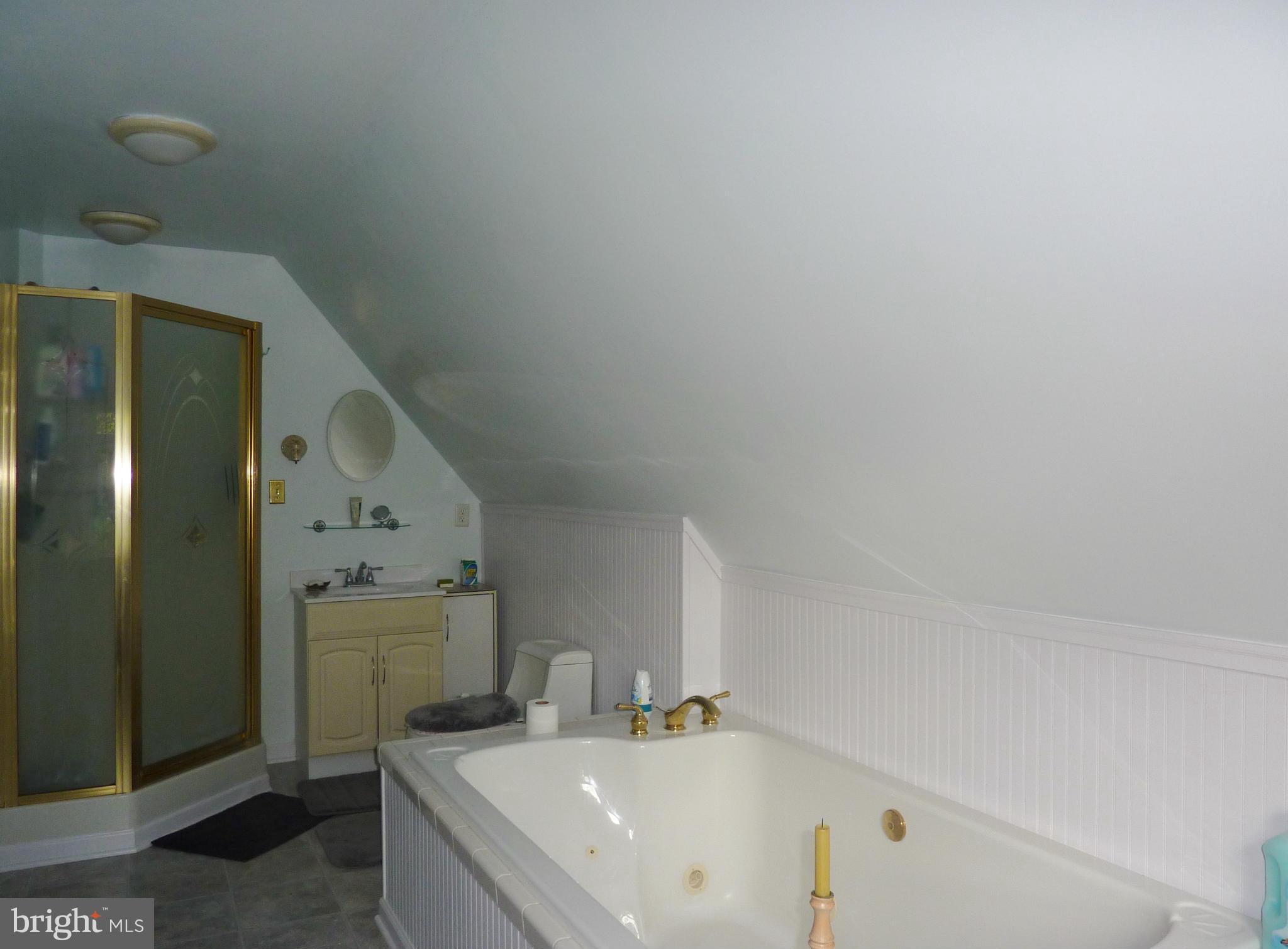 265 Apple Jack Road Linden, VA 22642 - Photo 16 of 30 Bath with tub and shower