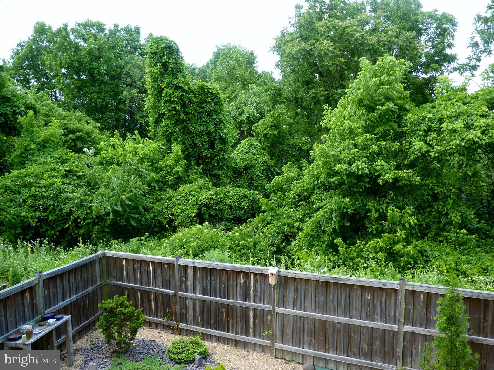 265 Apple Jack Road Linden, VA 22642 - Photo 20 of 30 View from master bedroom