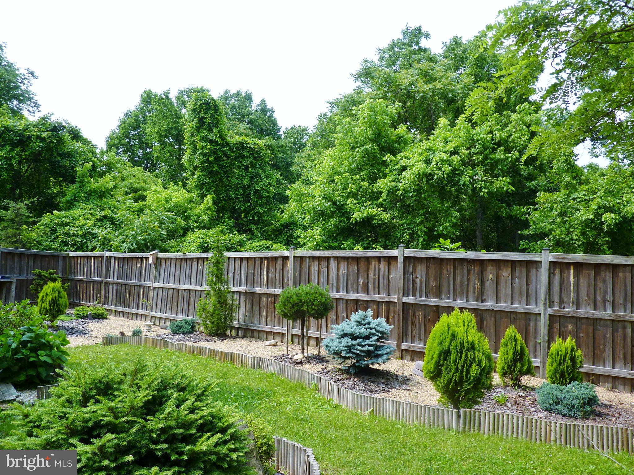 265 Apple Jack Road Linden, VA 22642 - Photo 24 of 30 Fenced and landscaped yard