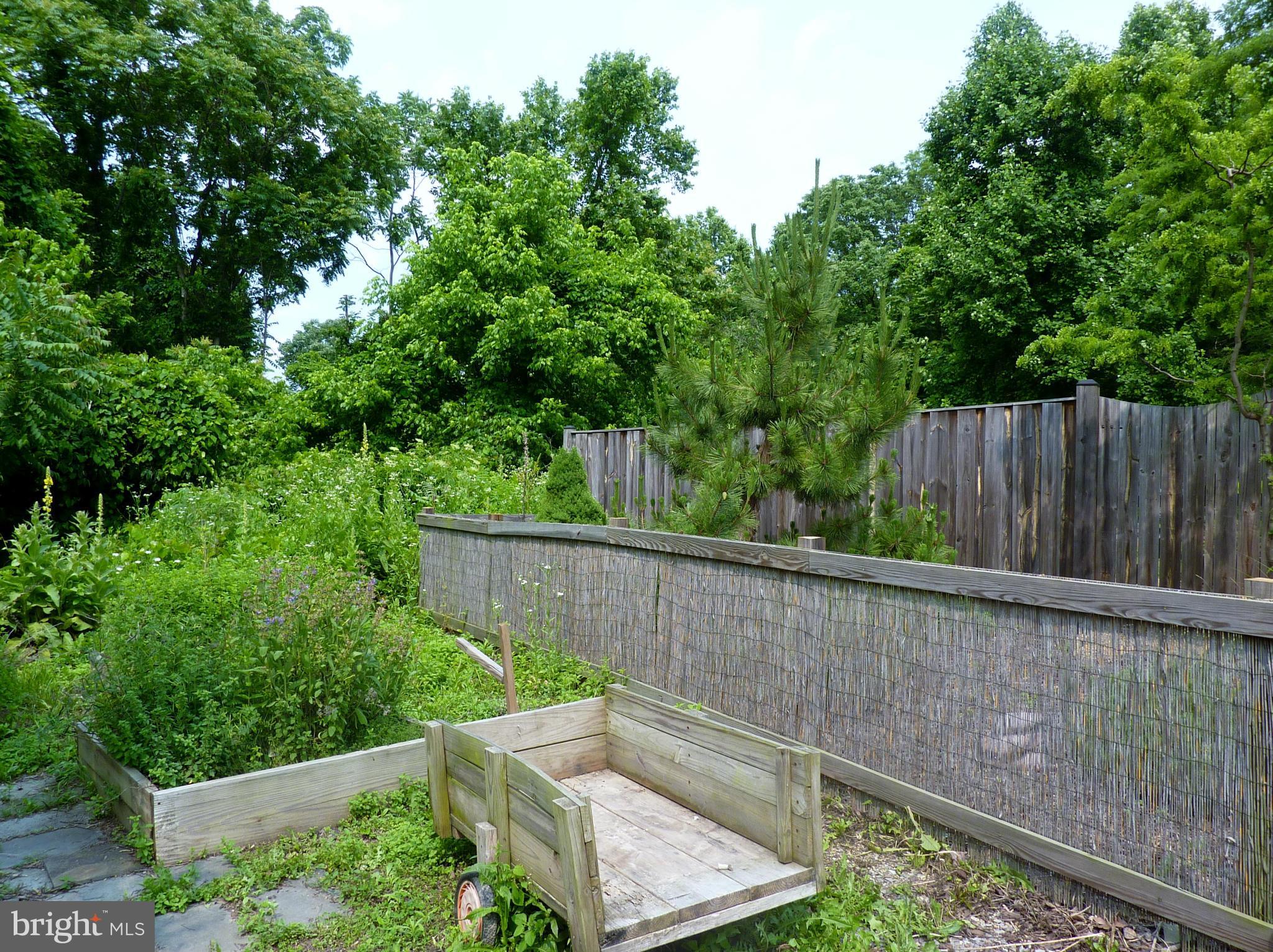 265 Apple Jack Road Linden, VA 22642 - Photo 25 of 30 Yard