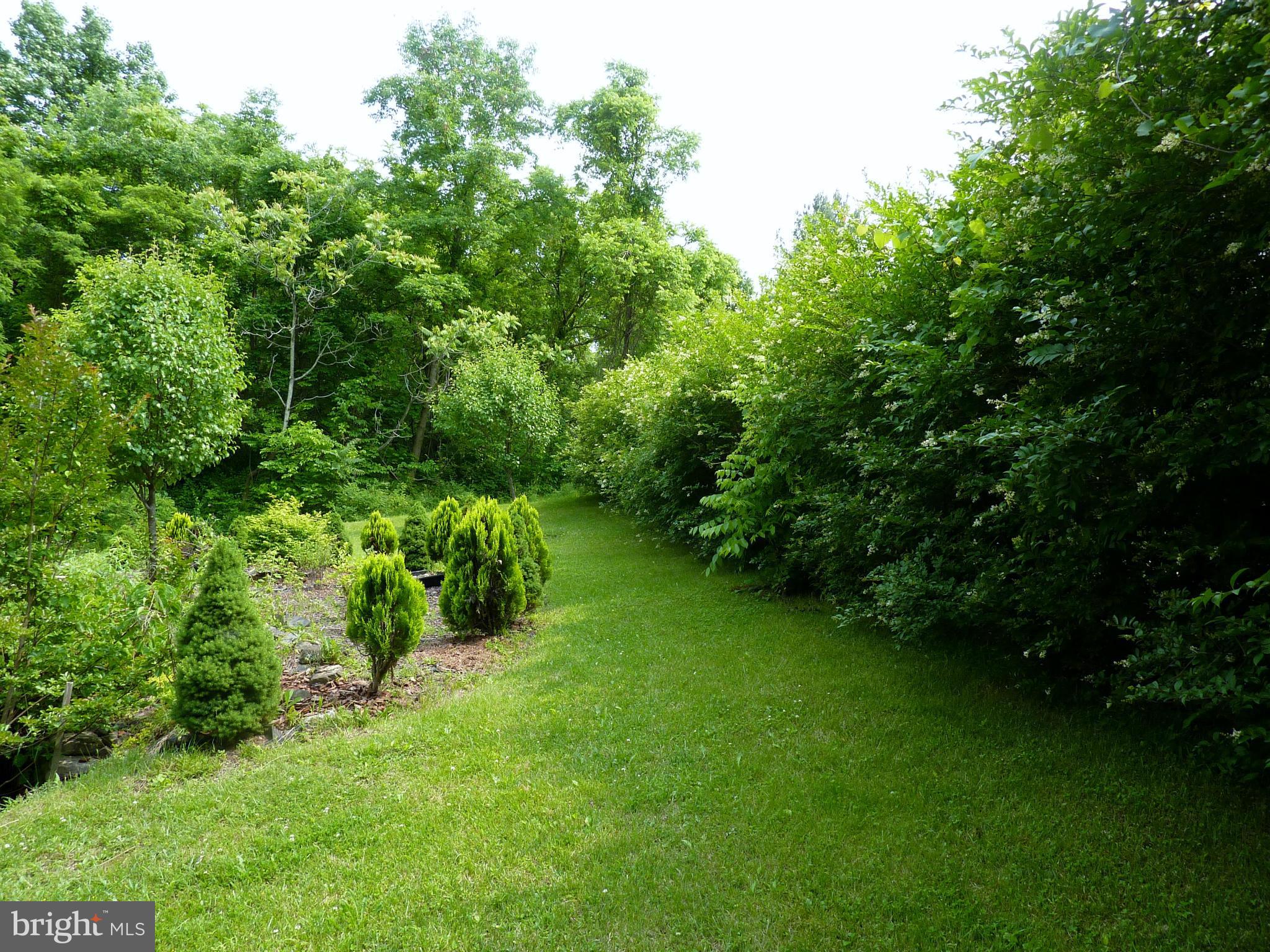 265 Apple Jack Road Linden, VA 22642 - Photo 26 of 30 View