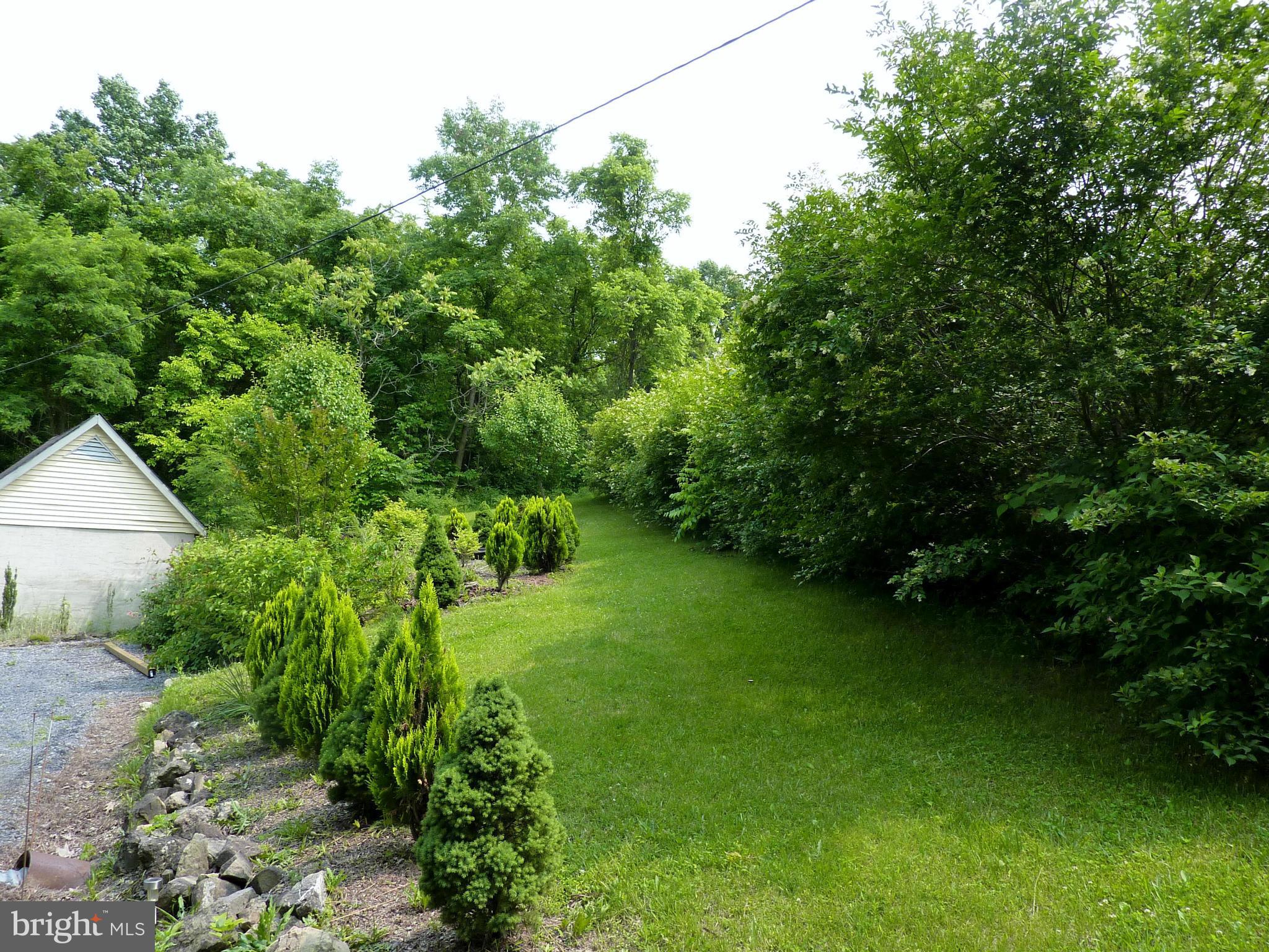 265 Apple Jack Road Linden, VA 22642 - Photo 27 of 30 View of Landscaping