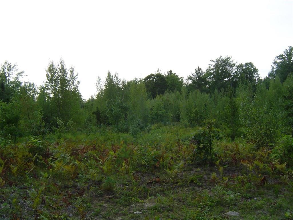 1.3 Elm Street Parsonsfield, ME 04047 - Photo 1 of 5 Photo