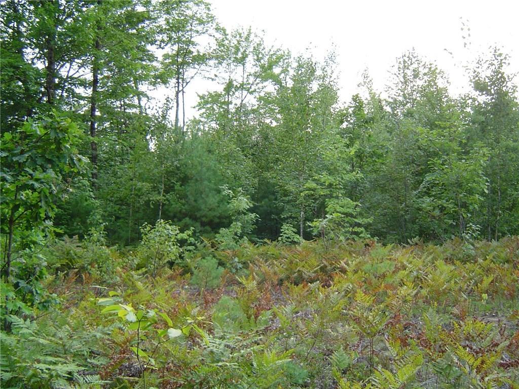 1.3 Elm Street Parsonsfield, ME 04047 - Photo 2 of 5 Photo