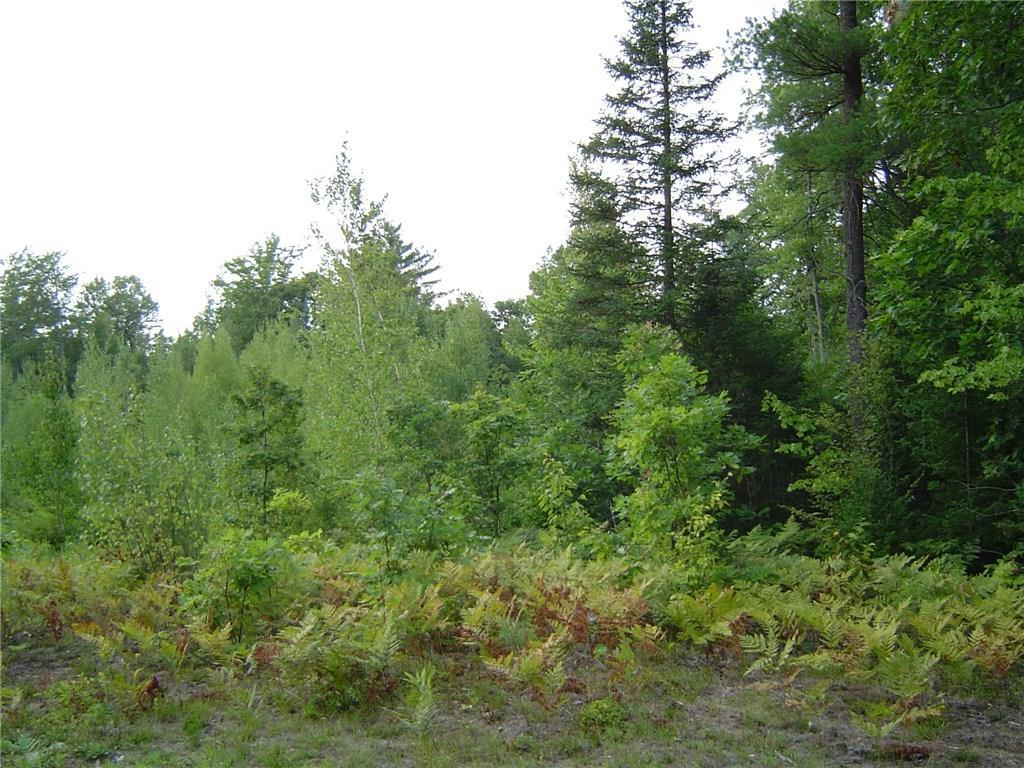 1.3 Elm Street Parsonsfield, ME 04047 - Photo 3 of 5 Photo