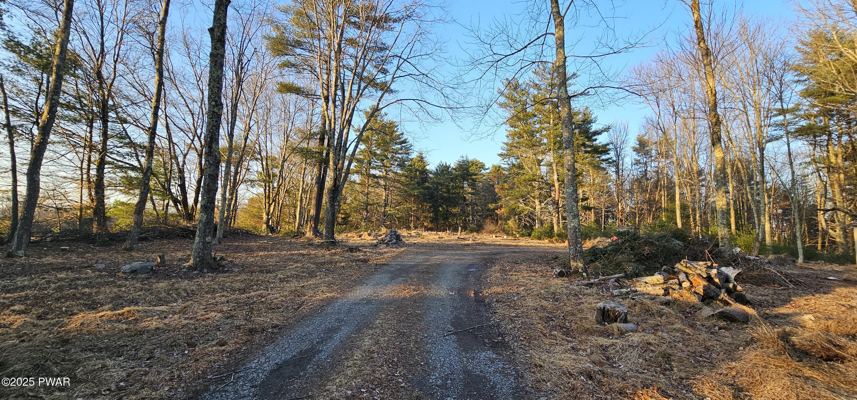 Lot 16.1 Beaver Brook Road Narrowsburg, NY 12764 - Photo 1 of 10
