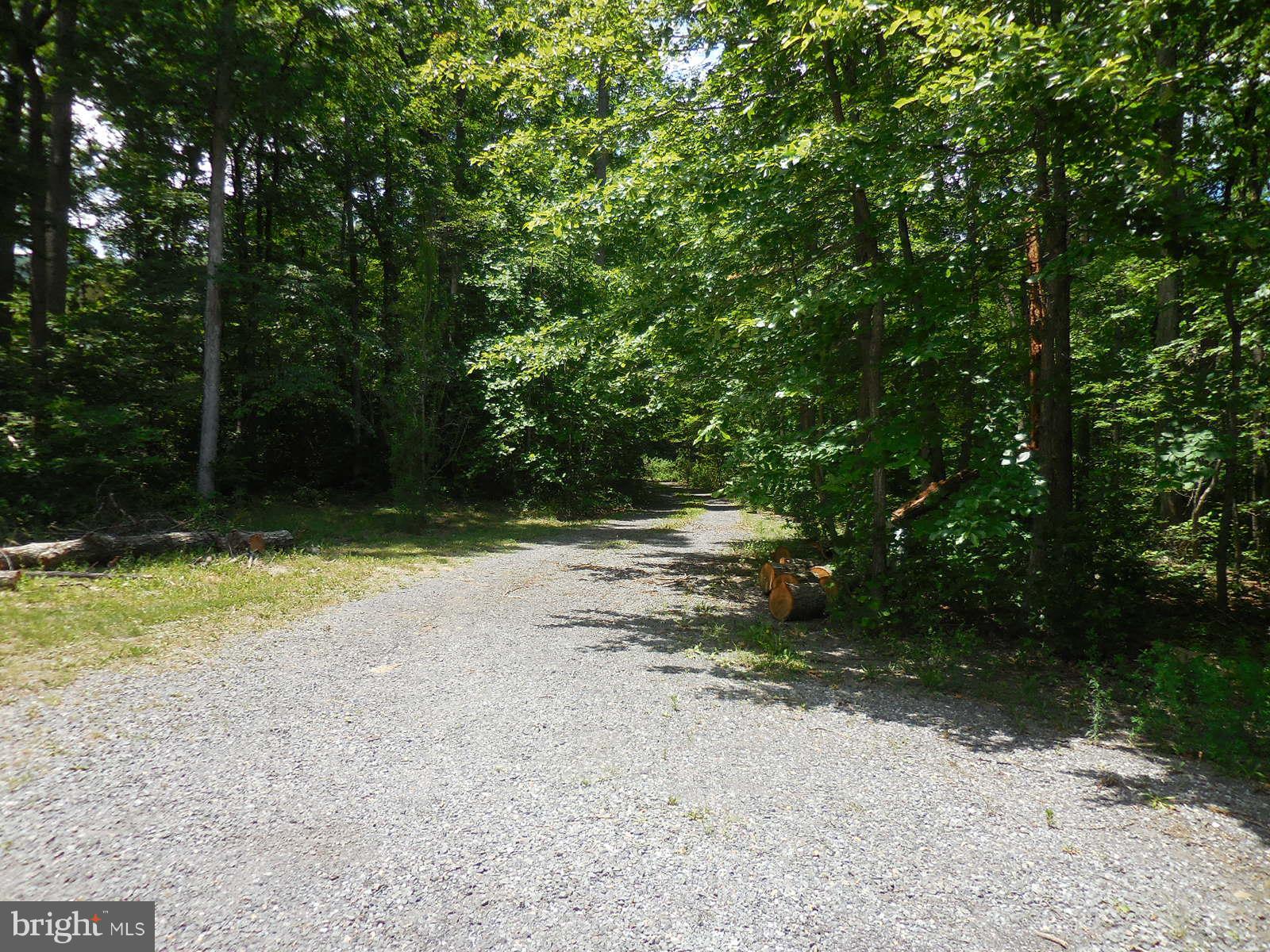 2854 Boliver Road Fort Valley, VA 22652 - Photo 29 of 29 Driveway