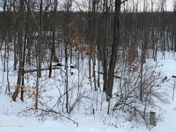$30,000 | Lot 171 Scenic Avenue, Danville, PA 17821