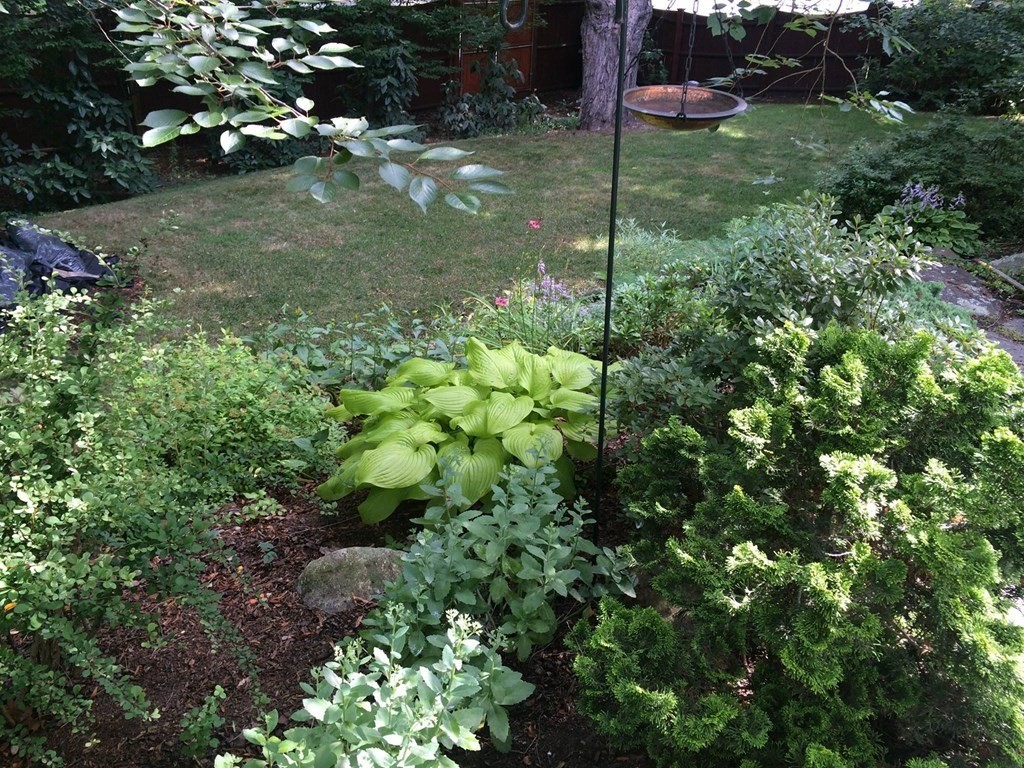 29 Old Bridge Road Concord, MA 01742 - Photo 33 of 37 a view of a tree in a yard