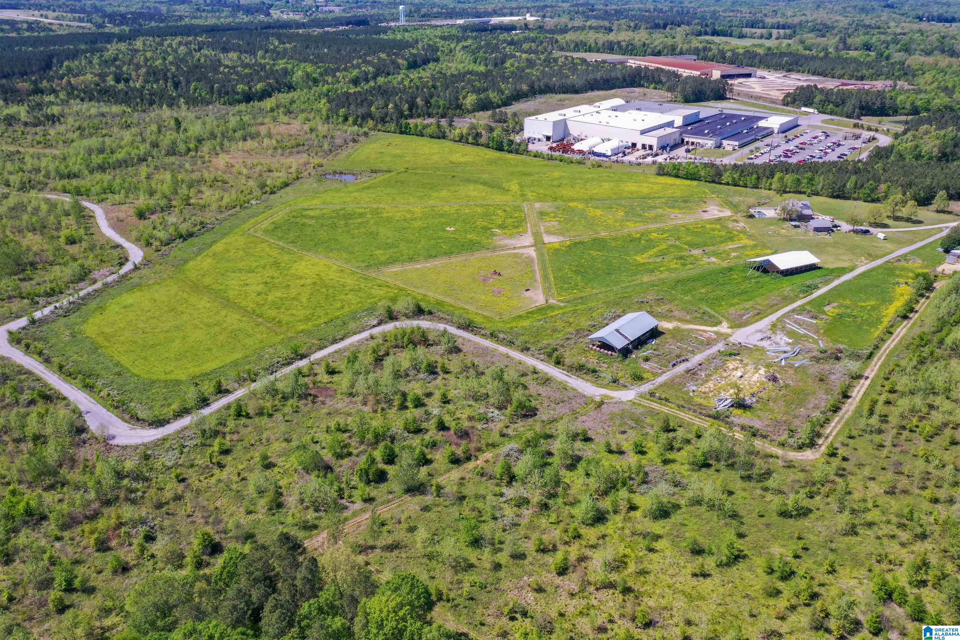 1300 Duncan Farms Road Steele, AL 35987 - Photo 35 of 36