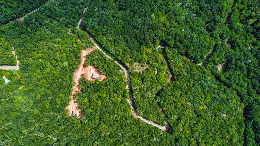 4.69-ac 4.69-ac Rockwater Road Cherry Log, GA 30522 - Photo 12 of 22 a backyard of a house with lots of green space
