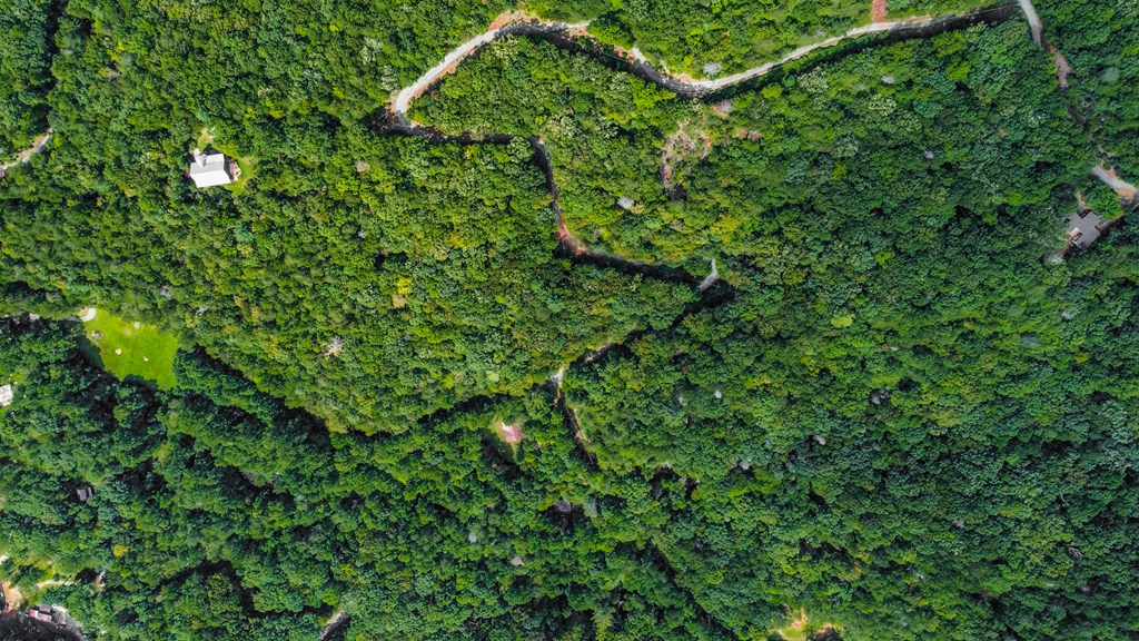 4.69-ac 4.69-ac Rockwater Road Cherry Log, GA 30522 - Photo 13 of 22 a view of a lush green forest