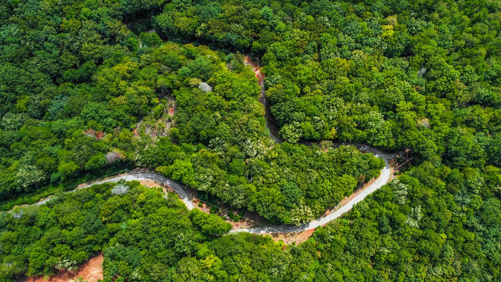 4.69-ac 4.69-ac Rockwater Road Cherry Log, GA 30522 - Photo 14 of 22 a view of a garden