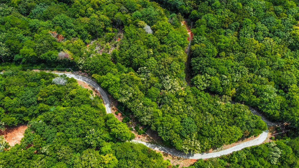 4.69-ac 4.69-ac Rockwater Road Cherry Log, GA 30522 - Photo 15 of 22 a view of a garden