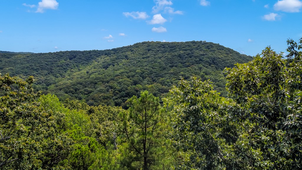 4.69-ac 4.69-ac Rockwater Road Cherry Log, GA 30522 - Photo 16 of 22 a view of a field