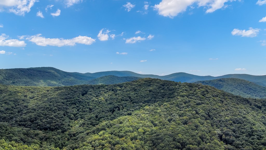 4.69-ac 4.69-ac Rockwater Road Cherry Log, GA 30522 - Photo 2 of 22 a view of a city with mountain in the background