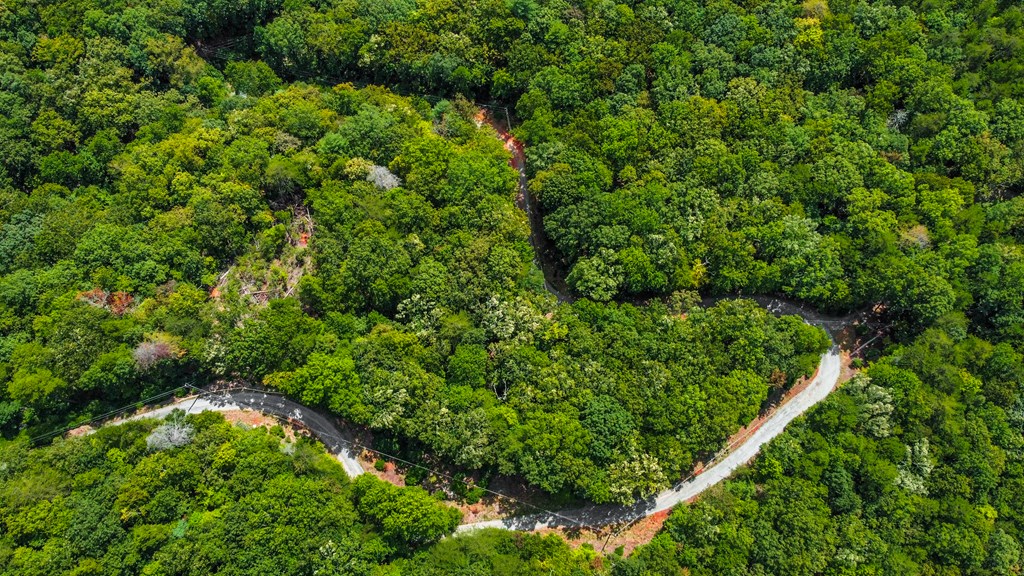 4.69-ac 4.69-ac Rockwater Road Cherry Log, GA 30522 - Photo 3 of 22 a view of a garden