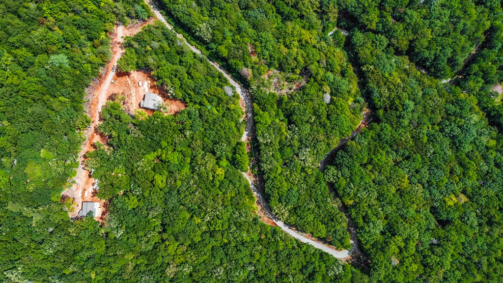 4.69-ac 4.69-ac Rockwater Road Cherry Log, GA 30522 - Photo 5 of 22 a backyard of a house with lots of green space