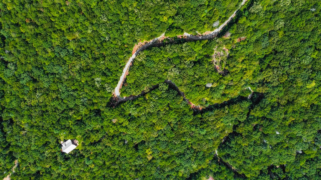 4.69-ac 4.69-ac Rockwater Road Cherry Log, GA 30522 - Photo 6 of 22 a map view of a tree