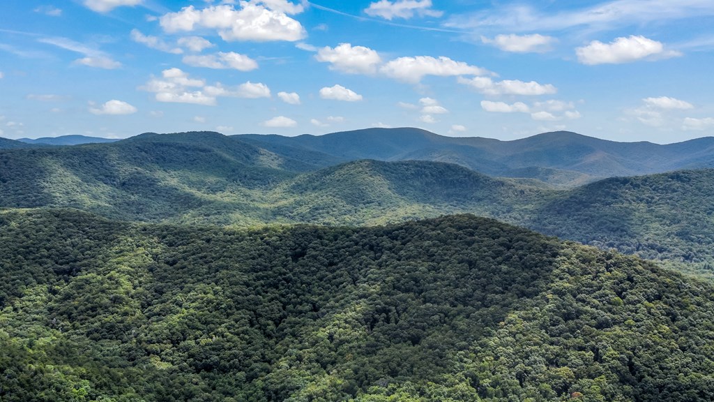 4.69-ac 4.69-ac Rockwater Road Cherry Log, GA 30522 - Photo 7 of 22 a view of a forest with mountains in the background