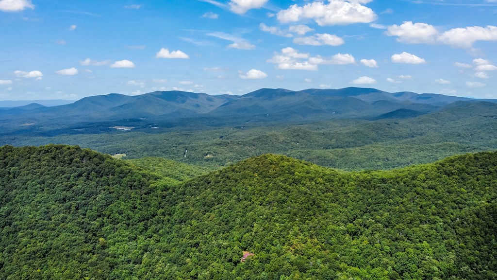 4.69-ac 4.69-ac Rockwater Road Cherry Log, GA 30522 - Photo 8 of 22 a view of an outdoor space and mountain view