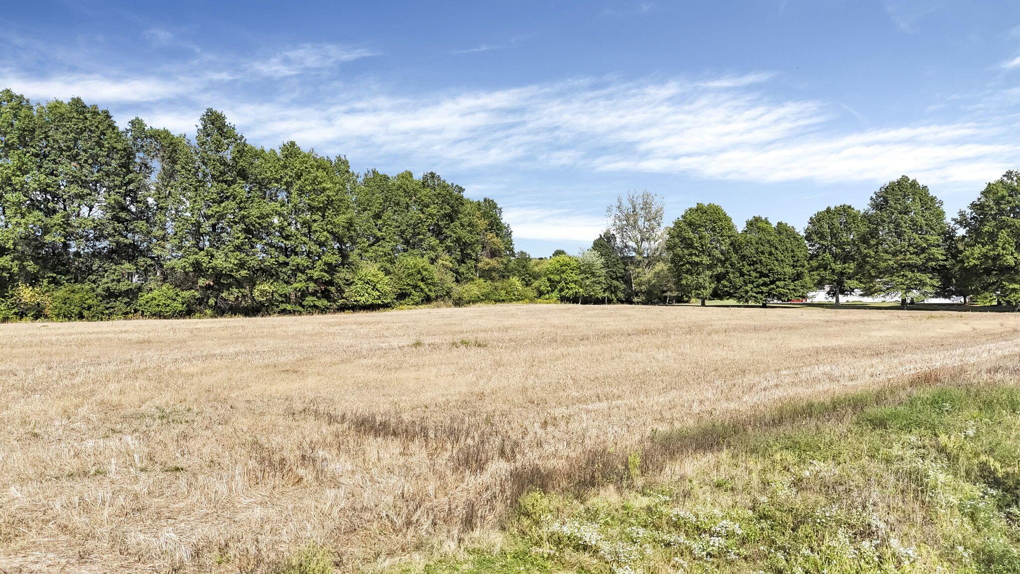 0 Bunty Station Road Delaware, OH 43015 - Photo 2 of 7 13-web-or-mls-bunty-station-rd