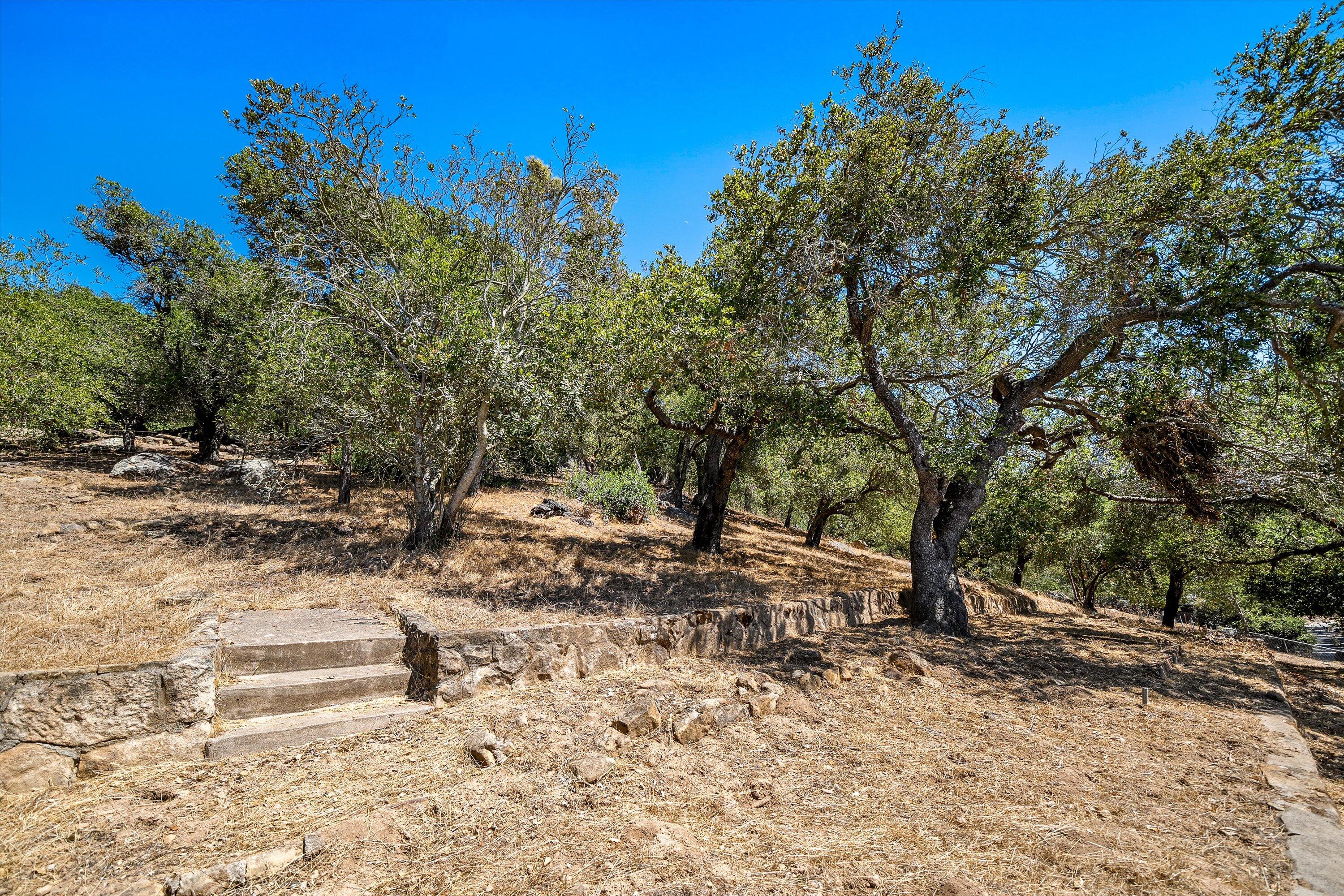 1060 Tremonto Road Santa Barbara, CA 93103 - Photo 40 of 49 Yard/Exterior