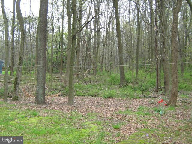 596 Carpenters Point Road Perryville, MD 21903 - Photo 16 of 23 Exterior (General)
