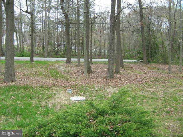 596 Carpenters Point Road Perryville, MD 21903 - Photo 20 of 23 Exterior (General)
