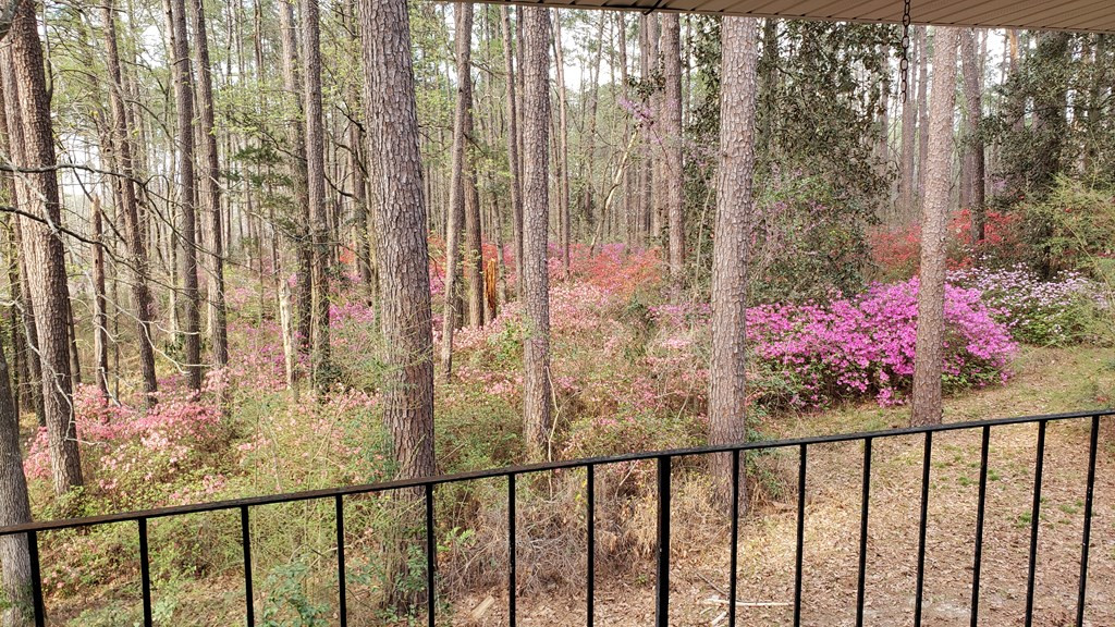 1107 Old St John Road Northeast Wesson, MS 39191 - Photo 3 of 66 Photo 3