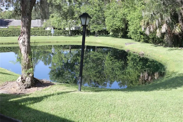a view of a garden with a bench