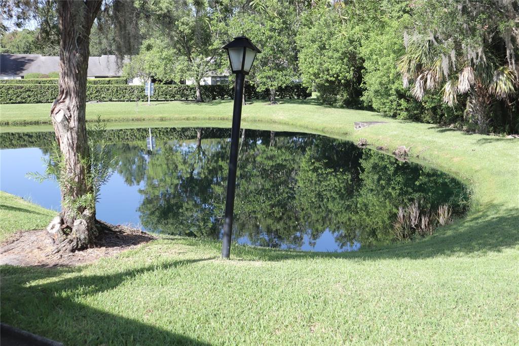 1389 Pine Ridge Circle East, Unit D8 Tarpon Springs, FL 34688 - Photo 17 of 30 a view of a garden with a bench