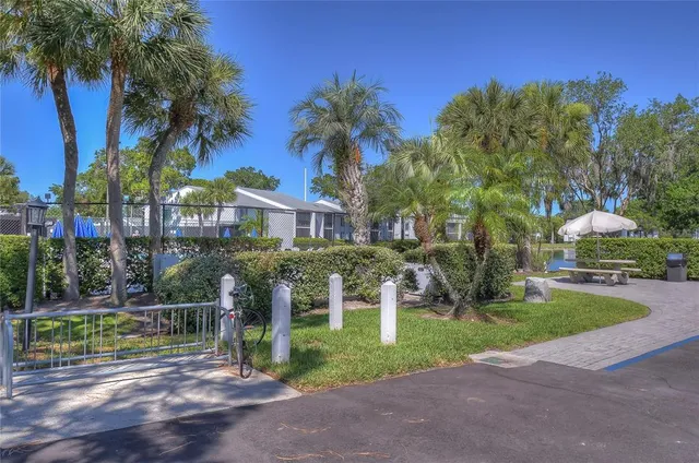 a view of a house with a yard and palm trees