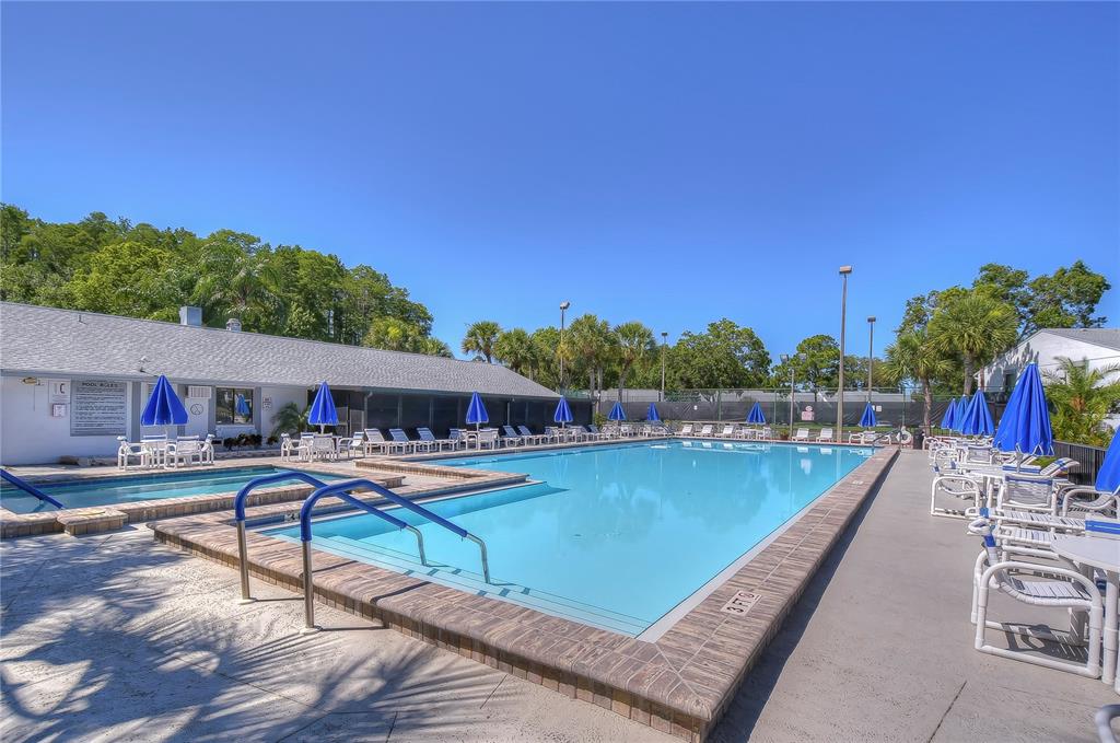 1389 Pine Ridge Circle East, Unit D8 Tarpon Springs, FL 34688 - Photo 23 of 30 a view of a swimming pool with lounge chairs