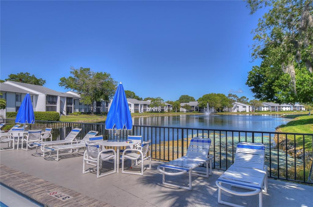 1389 Pine Ridge Circle East, Unit D8 Tarpon Springs, FL 34688 - Photo 25 of 30 a view of a chairs and table in the patio