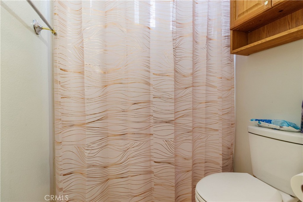 1393 Rabbit Peak Way Hemet, CA 92545 - Photo 20 of 34 a white toilet sitting next to a shower curtain