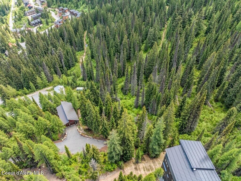 B2 L5 Mogul Hill Road Sandpoint, ID 83864 - Photo 2 of 60 End of Road Privacy