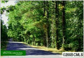 Lot1 Laurel Hills Road Fort Mill, SC 29707 - Photo 3 of 8 a view of a yard