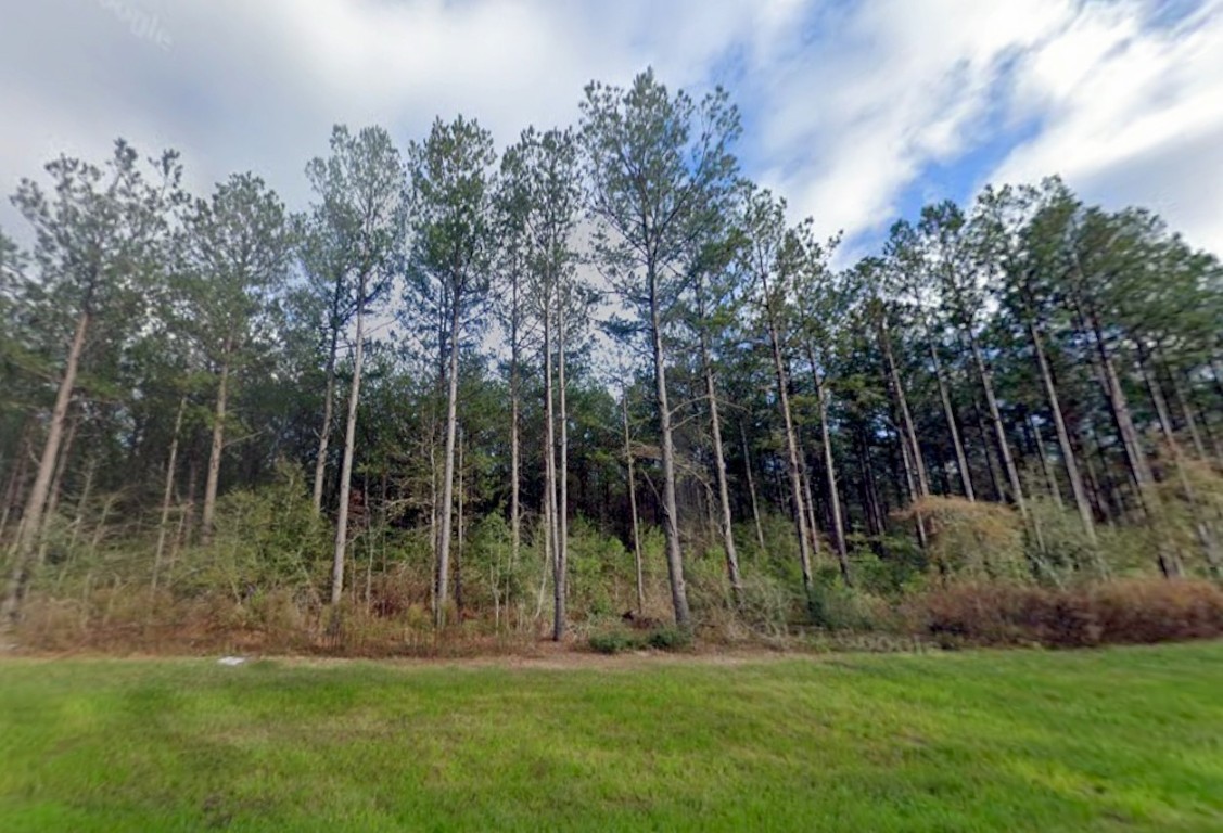 16010 Forest Mill Road Willis, TX 77378 - Photo 4 of 17