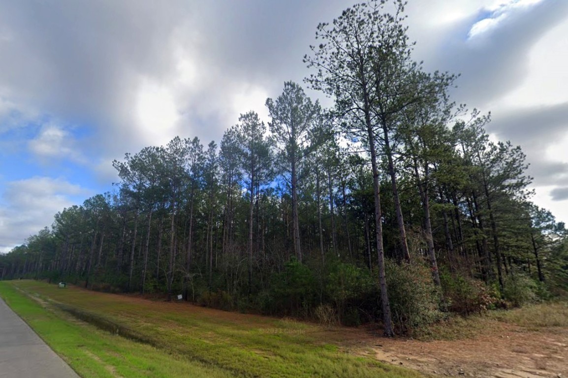 16010 Forest Mill Road Willis, TX 77378 - Photo 5 of 17