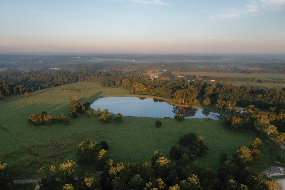16010 Forest Mill Road Willis, TX 77378 - Photo 10 of 17