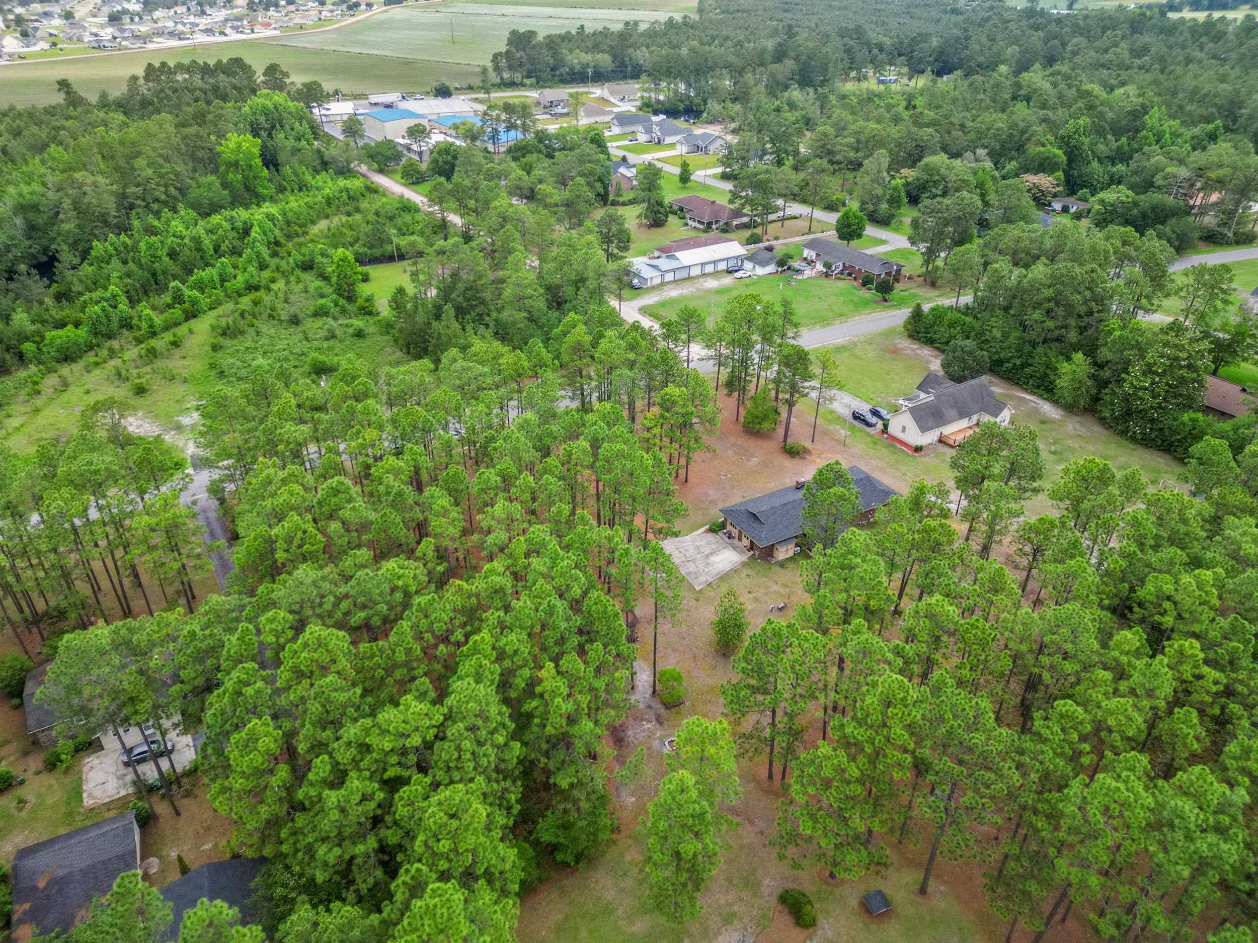 1735 Pine Level Drive Loris, SC 29569 - Photo 32 of 34